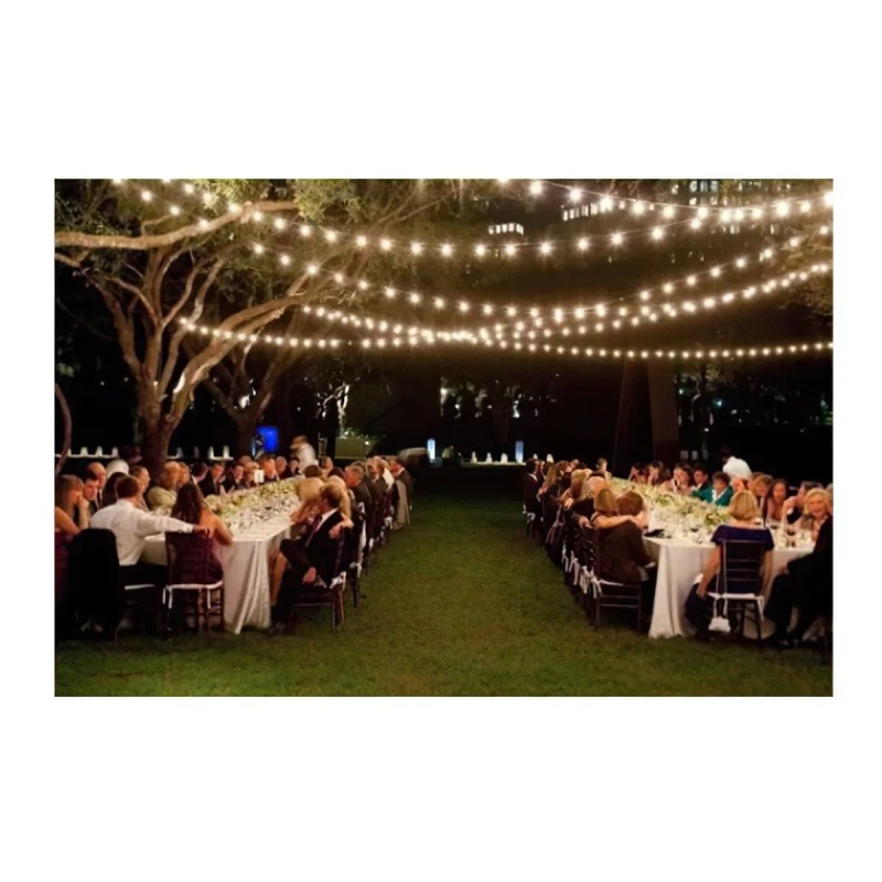 Feit Electric Luces Led En Serie Para Jardin Patio Exterior