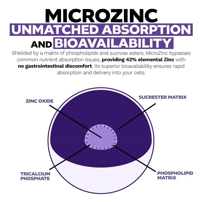 Nootropics Depot MicroZinc Capsules | 20mg | Optimized Zinc Supplement