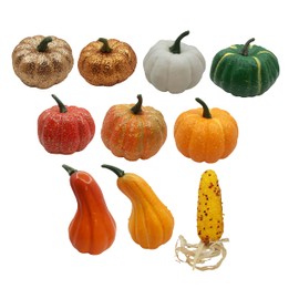 Black Duck Brand Set of 10 Pumpkins & Gourds Harvest Decorations - Great for Table Decor and Festive Baskets!