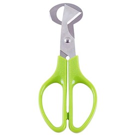GOMYIE Pigeon Bird Quail Egg Cutter Tool Quail Egg Scissors Opener Cracker Stainless Steel Blade Kitchen Tool