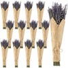 Jutom 12 Pack Total 2280 Stems Dried Lavender Bundle Bulk