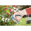 Gardena Classic Secateurs, Blue, 38 x 15 x 18 cm,