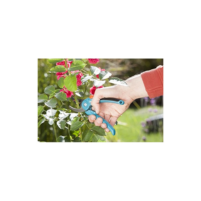 Gardena Classic Secateurs, Blue, 38 x 15 x 18 cm,