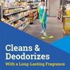 Fraganzia Multi-Purpose Cleaner, CloroxPro, Spring Scent, 175 Fluid Ounces (Package