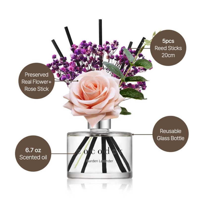 COCODOR Rose Flower Reed Diffuser/Pure Cotton/6.7oz(200ml)/1 Pack/Reed Diffuser, Reed Diffuser