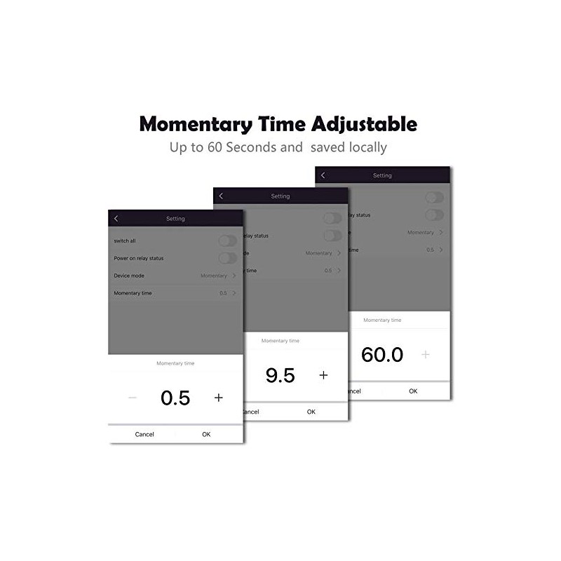 Newgoal 2-Channel WiFi Smart Switch Relay Module, TUYA/Smart Life App