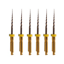 Easyinsmile X-Pro Gold ProTaper NITI - Archivos rotativos, 6 unidades de archivos de memoria controlados por endodoncia (SX 19 mm)