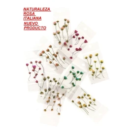 MKN 100 Paquetitos De Naturaleza Muerta Para Decoración De Uñas