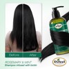 Difeel Elevated Rosemary Mint Shampoo with Biotin 12 oz. -