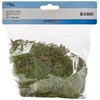 Glorex Iceland Moss, 50 G, Dark Green 7610877290294