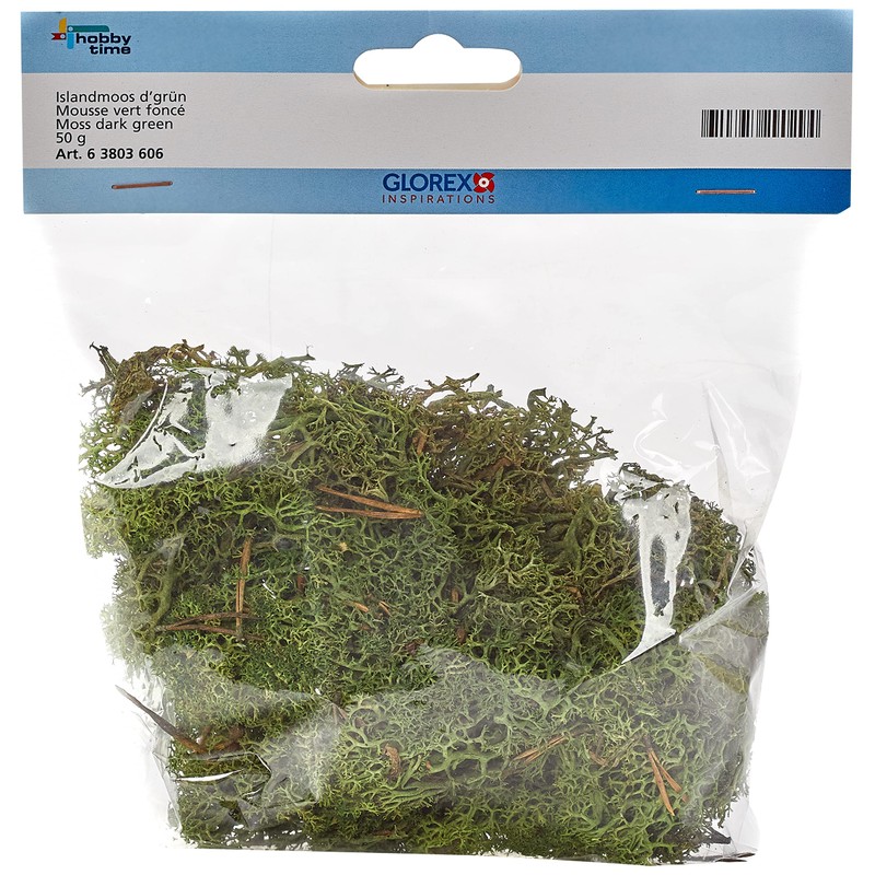 Glorex Iceland Moss, 50 G, Dark Green 7610877290294