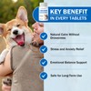 L-Theanine Supplement for Dogs and Cats, 90 Chewable Tablets, Helps