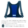 Denko Home Ice Ruck, Vertical Type, Includes 2 Ice Packs,
