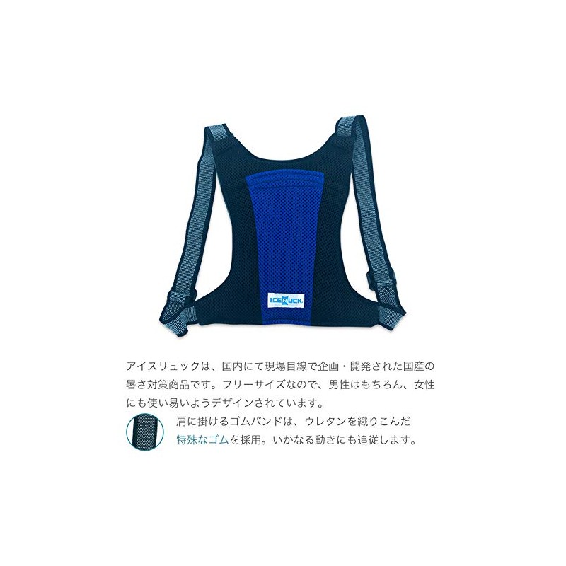 Denko Home Ice Ruck, Vertical Type, Includes 2 Ice Packs,