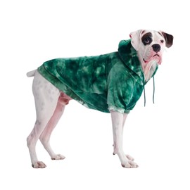 Spark Paws Dog Hoodie - Premium Quality, Buttery Soft, Superior Comfort and Fit, Calming Fleece Interior, Suitable for All Breeds -Green Skydye, 2XL