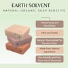 Earth Solvent All Natural Organic Cold Process Bar Soap Made