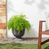 Arcadia Garden Products PSW BC38CT Classical Urn, 15", Cement Color,