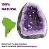 WYJHYZN Amethyst Crystal Gems and Healing Stones Rocks Geodes Purple