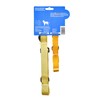 Dodo All Nylon Yellow Collar and Leash - Medium; Matching
