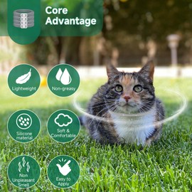 Surglam 4 Pack Collar, Collar for Cats, Adjustable Cat Kitten Collar, Waterproof Cat Collars for Small Medium and Large Cats, Comfortable & Light, One Size Fit All, Grey