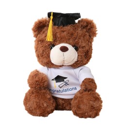 Alaiyaky Graduation Gifts, Graduation Bear Lovely Graduation Gifts for Her Stuffed Animal Graduation Presents Plush Bear Graduation Decorations, Graduation Gifts for Friends Family (Type F)