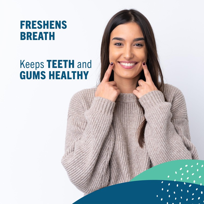 Preserve Toothpicks Cinnamint Refreshing Natural Cinnamon & Mint Flavored Toothpicks