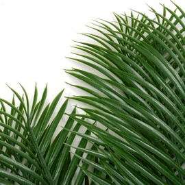 CLONG CLONG 12pcs Artificial Palm Leaves Tropical Plants Faux Fake Palm Fronds Plant (Green)