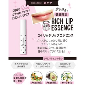 24 rittirippuessensu