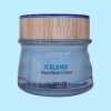 The Saem 더샘 아이슬란드 아쿠아 모이스트 크림 60ml 수분 The