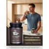 Psyllium Husk