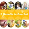 Juego de Juguetes para Perros de 10 Piezas - Juguetes