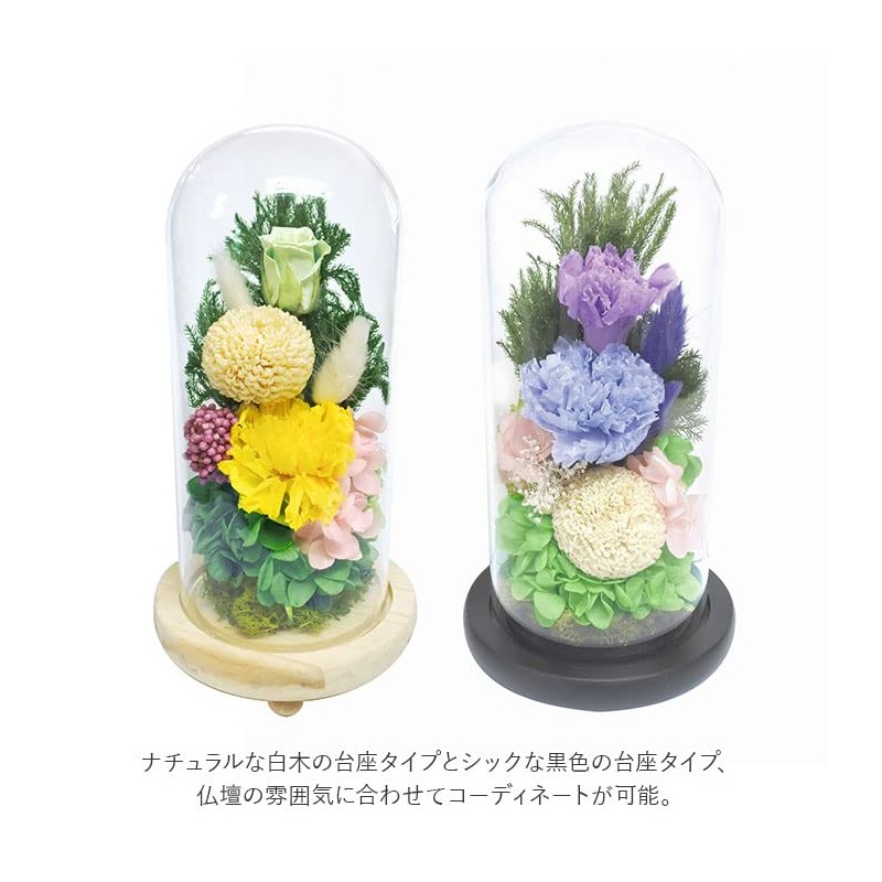 Offering Glass Dome Glass Dome Shizuki