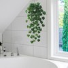 2 Sheets Green Plants Leaves Wall Decals Peel and Stick
