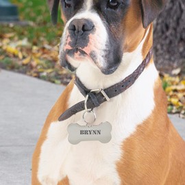 Pet ID Tags 10 Pieces Stainless Steel Silver Stamping Blanks with Hole Metal Puppy Tags 1.5" x 0.7" Bone Metal Charms