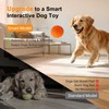 Automatic Interactive Dog Ball - Self Moving Toy for Medium