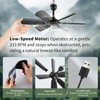 bestmoument 17.7" Inch Small Portable Ceiling Fan, USB Plug In,