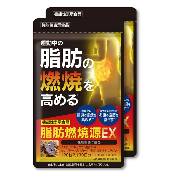 脂肪燃焼源 EX 120粒入 2個セット 運動中 の 脂肪燃焼 を高める【機能性表示食品 ヒドロキシクエン酸（HCA）、ブラックジンジャー 由来