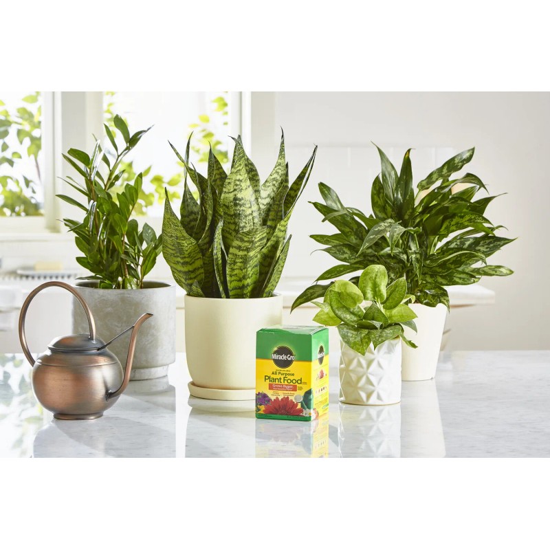 Miracle-Gro Water Soluble All Purpose Plant Food 1.5 lbs.