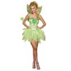 Dreamgirl Women's Fairy-Licious Costume, Green, Large