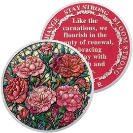 Carnation Flower Sobriety Coin Gifts Set | Silver AA Medallion with Coin Capsule | Anniversary Token for Men & Women in Recovery | AA Sobriety Gifts Medallion for Month & Year Milestones