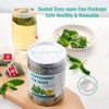 50 Peppermint Tea Bags, Herbal Mint Tea Bags, Traditional Dried