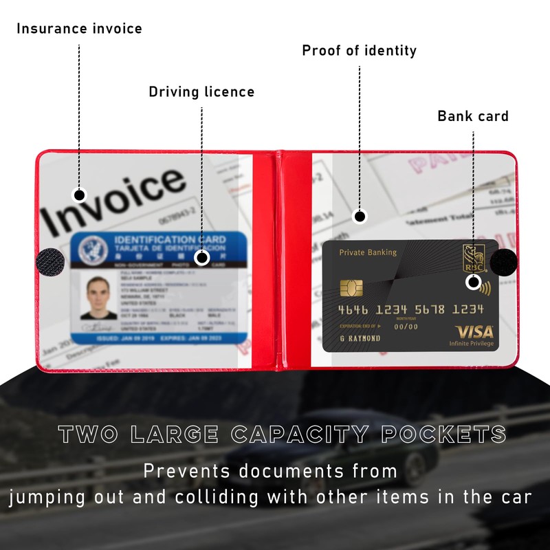 Ziciner Car Registration and Insurance Holder, 5.2"× 4.7" Premium Auto