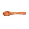 Naturally Med Olive Wood Mustard/Sugar/Salt Spoon, 5'' L