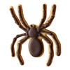 Birkmann 1010714310 Cookie Cutter Spider 9 cm – Grey Plastic