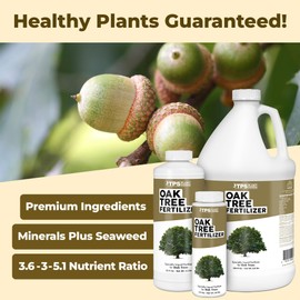 Oak Tree Fertilizer – Liquid Plant Food for Healthy Tree Growth, Rich Green Foliage & Stronger Roots, 8 oz