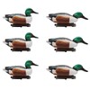 Final Approach Live Floating Northern Shovelers, Decoy 6 Pack in