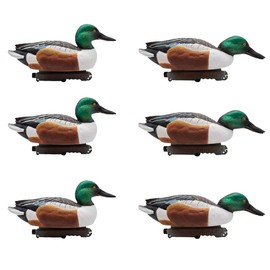 Final Approach Live Floating Northern Shovelers, Decoy 6 Pack in Green