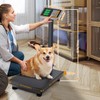 Bonvoisin Digital Platform Scale 660LBs Heavy Duty Floor Scale KG/LB