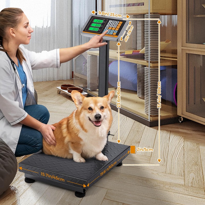 Bonvoisin Digital Platform Scale 660LBs Heavy Duty Floor Scale KG/LB