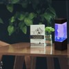 Mini Jellyfish LED Light - Features 2 Realistic Jellyfish -